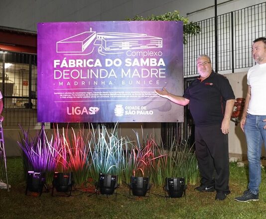 Mocidade Alegre terá enredo que exalta 'poder feminino para reconexão com  universo' no carnaval de 2020, Carnaval 2020 em São Paulo