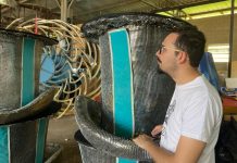 Série Barracões: Arranco vai à loucura com afeto ao levar Nise da Silveira para a Sapucaí