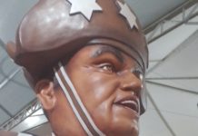 Barracões Acesso 1 SP: Colorado do Brás traz a força do mandacaru para falar do povo nordestino