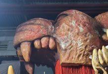 Série Barracões: Grande Rio aposta na força do enredo para contar a criação do mundo segundo o mito tupinambá