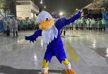 Majestosa, a águia da Portela agora tem nome, fantasia e uma identidade misteriosa