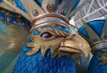 Série Barracões SP: Cirandando com Lia de Itamaracá, Nenê de Vila Matilde sonha com volta ao Grupo Especial