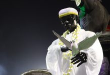 Fotos: desfile da Imperatriz da Paulicéia no Carnaval 2024