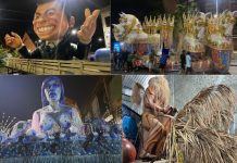 Série Ouro Carnaval 2024 começa nesta sexta-feira com tradição da Estácio e ‘juventude’ da Acari e Maricá