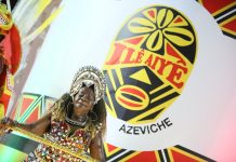 União do Parque Acari estreia na Sapucaí com plástica surpreendente em desfile regular, mas fantasia atrapalha casal