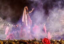 De olho nos quesitos: tripés dominam justificativas em comissão de frente