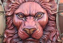 Dragões da Real 2024: fotos das alegorias para o Carnaval 2024