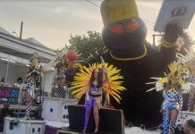 Flamanguaça mostra belo conjunto de fantasias e canto forte, mas tropeça em evolução