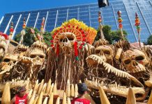 Imagens das alegorias da Grande Rio na área de concentração da Sapucaí