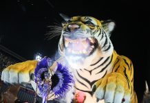 Porto da Pedra: fotos do desfile no Carnaval 2024