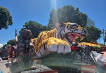 Imagens das alegorias da Porto da Pedra na área de concentração da Sapucaí