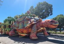 Imagens das alegorias do Salgueiro na área de concentração da Sapucaí