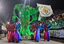 Santa Cruz faz desfile com excelência na plástica e força do canto da comunidade