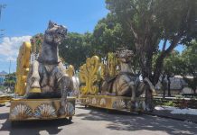 Imagens das alegorias do Tuiuti na área de concentração da Sapucaí