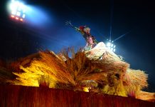 Viradouro: fotos do desfile no Carnaval 2024