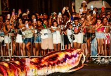 Presente para Niterói! Viradouro apresenta desfile campeão de 2024 para comunidade na Amaral Peixoto