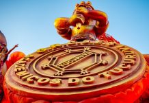 Tucuruvi define os quatro sambas finalistas da disputa para Carnaval 2025