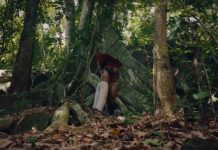 Conheça o enredo da Viradouro para o Carnaval 2025