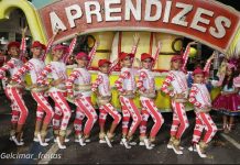 Aprendizes do Salgueiro faz concurso para escolha do novo carnavalesco