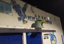 Danilo Dantas explica enredo de 2025 da Nenê de Vila Matilde para compositores e torcedores