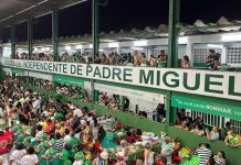 Vice-presidente da Mocidade fala em novo momento da escola: ‘mais organizada e mais planejamento’