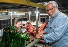 Barracão da Vila Isabel recebe visita de secretário do maior complexo de museus e pesquisa do mundo