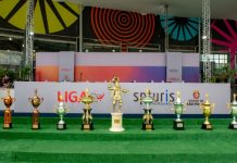 Liga-SP lança edital para seleção da Comissão Julgadora do Carnaval 2025