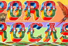 Grande Rio 2025: samba da parceria Bole Bole