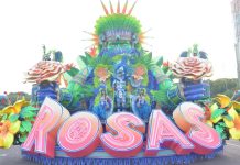 Vice-presidente da Rosas de Ouro reconhece erros dentro da pista no último carnaval, mas diz que trabalho foi entregue com sucesso