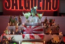 Salgueiro 2025: samba da parceria de Marcelo Adnet