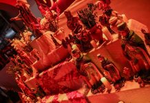 Salgueiro tem noite de alto nível dos sambas no primeiro dia após junção de chaves