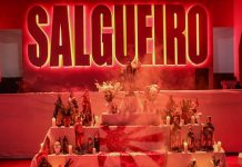 Salgueiro 2025: samba da parceria de Ian Ruas