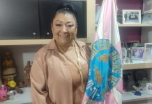 Rosas de Ouro apresenta fantasias para o Carnaval 2025 no sábado