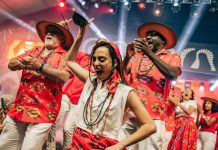 Balanço: festa dos enredos do Grupo Especial do Rio para o Carnaval 2025