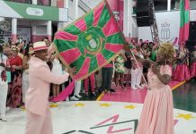 Leitores do CARNAVALESCO apontam parceria de Chacal do Sax favorita na Mangueira