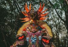 Beija-Flor homenageia em fantasia o título de Laíla no Salgueiro em 1974