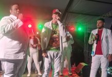 Inspirada por Diogo Nogueira, X-9 Paulistana apresenta samba para Carnaval 2025