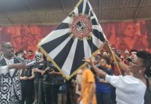 Muito prazer! Conheça o Raízes do Samba, que debutará na Liga-SP no Carnaval 2025