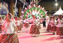 Estácio de Sá: galeria de fotos do minidesfile na Cidade do Samba