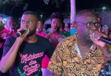 De verde e rosa, aos pés de seu morro, renasce a Mangueira para o Carnaval 2025