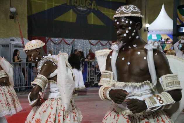 salgueiro dia samba 11