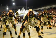 Enredo da São Clemente para o Carnaval 2025 sobre pets é elogiado e traz novos componentes para a escola