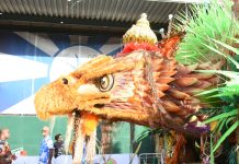 Tradição: galeria de fotos do minidesfile na Cidade do Samba