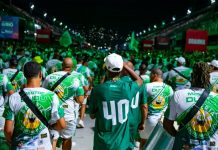 Freddy Ferreira analisa as baterias que ensaiaram no último fim de semana na Sapucaí