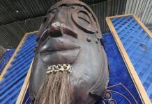 Especial Barracões SP: Homenagem do Peruche para Seo Carlão, o último cardeal do samba de São Paulo