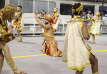 Coreógrafo Walmir Rogério permanece na Camisa 12