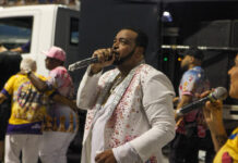 Carlos Jr. celebra 25 anos como intérprete e comenta mudanças no julgamento do carnaval de SP