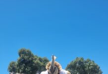 Em Cima da Hora 2025: alegorias na área de concentração