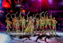 Gabriel David fala possibilidade de 15 escolas de samba no Especial em 2026