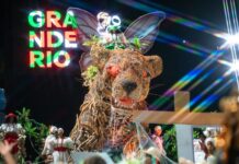 Grande Rio encanta a Sapucaí, dá show de técnica e faz ensaio para brigar forte pelo título do carnaval